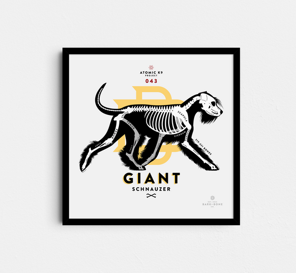 Giant Schnauzer Bone Print - 12" x 12"