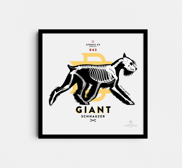 Giant Schnauzer Bone Print - 12" x 12"