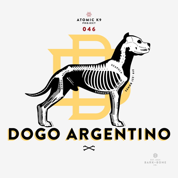 Dogo Argentino Bone Print - 12" x 12"