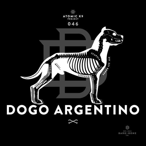 Dogo Argentino Bone Print - 12" x 12"