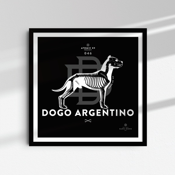 Dogo Argentino Bone Print - 12" x 12"