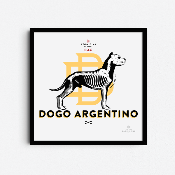 Dogo Argentino Bone Print - 12" x 12"