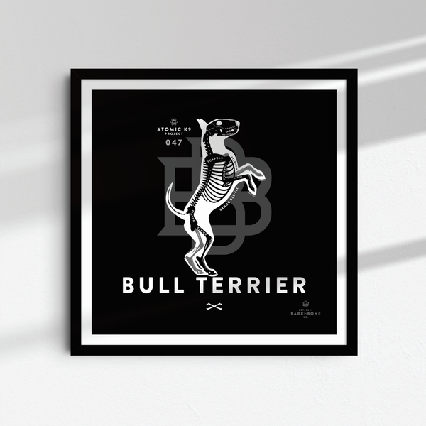 Bull Terrier Bone Print- 12" x 12"