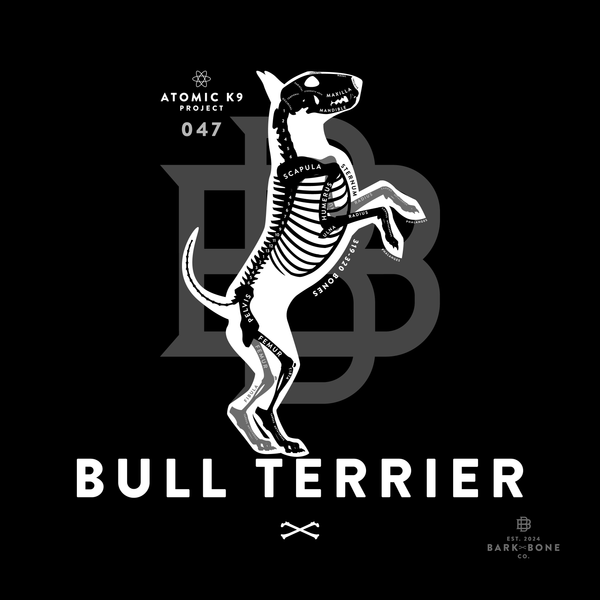 Bull Terrier Bone Print- 12" x 12"