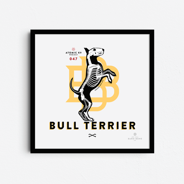 Bull Terrier Bone Print- 12" x 12"