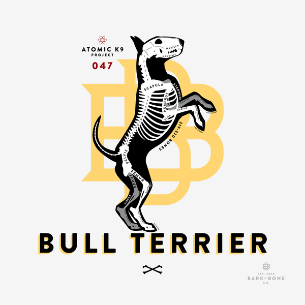 Bull Terrier Bone Print- 12" x 12"