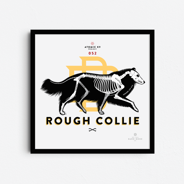 Collie (Rough & Smooth) Bone Print - Digital File Only