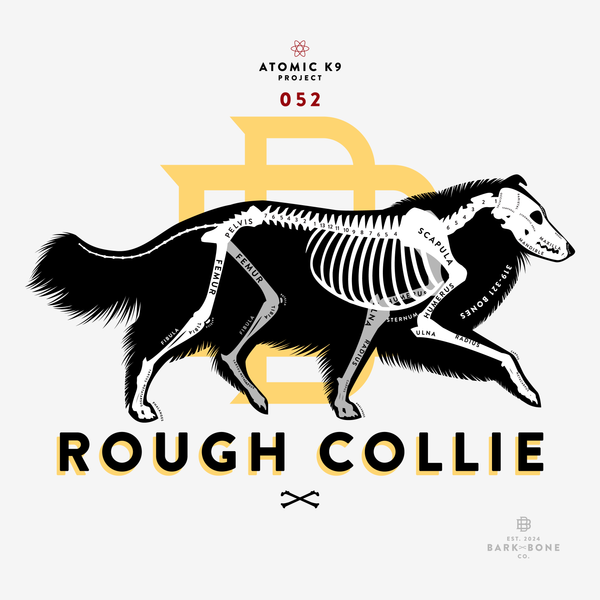 Collie (Rough & Smooth) Bone Print - Digital File Only