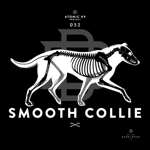 Collie (Rough & Smooth) Bone Print - Digital File Only