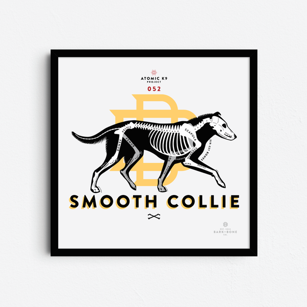 Collie (Rough & Smooth) Bone Print - 12" x 12"