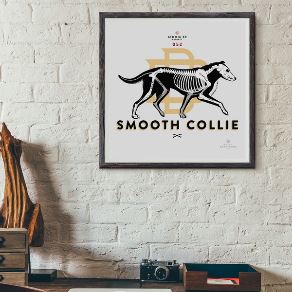 Collie (Rough & Smooth) Bone Print - 12" x 12"