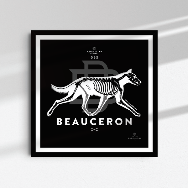 Beauceron Bone Print - Digital File Only