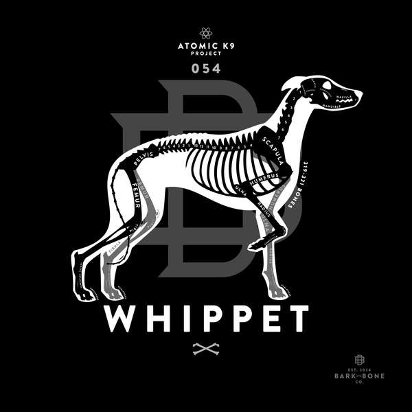 Whippet Bone Print - Digital File Only