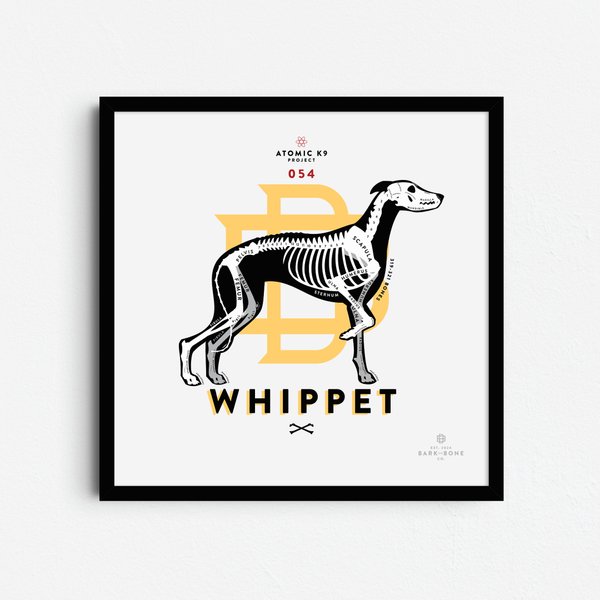 Whippet Bone Print - Digital File Only