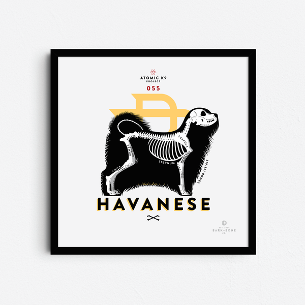 Havanese Bone Print - Digital File Only