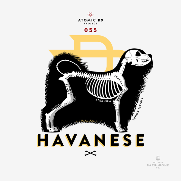 Havanese Bone Print - Digital File Only