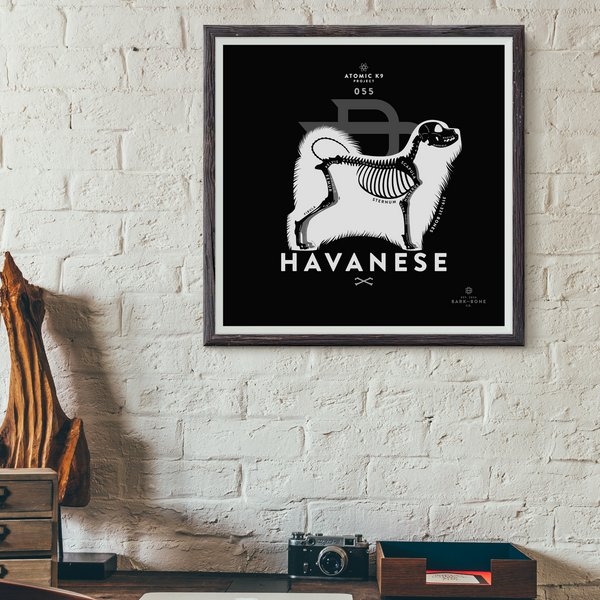 Havanese Bone Print - Digital File Only