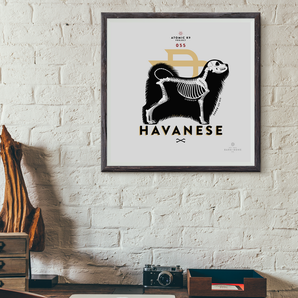 Havanese Bone Print - Digital File Only