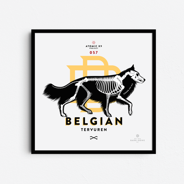 Belgian Tervuren Bone Print- 12" x 12"