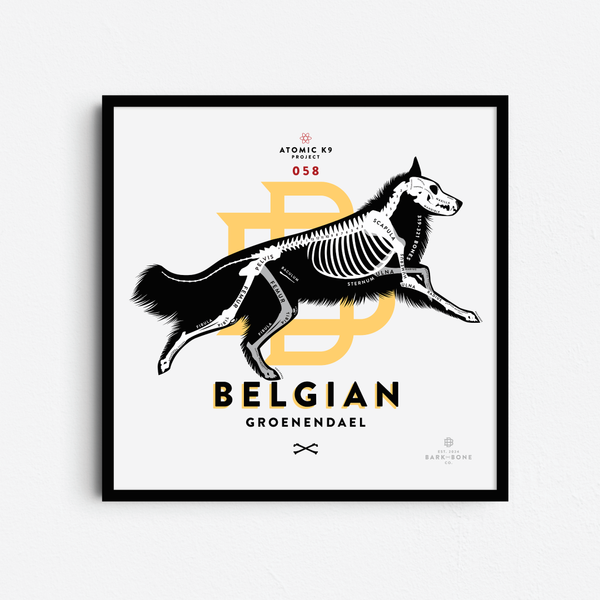 Belgian Groenendael Bone Print - Digital File Only