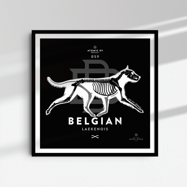 Belgian Laekenois Bone Print - Digital File Only