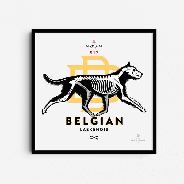 Belgian Laekenois Bone Print - Digital File Only