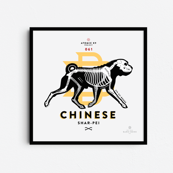 Chinese Shar-Pei Bone Print - Digital File Only