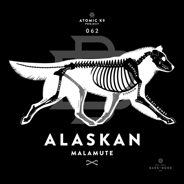 Alaskan Malamute Bone Print - Digital File Only