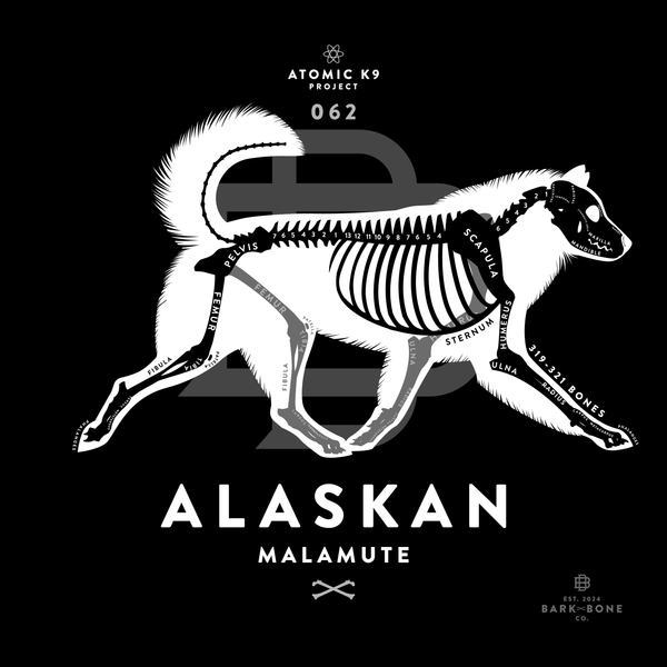 Alaskan Malamute Bone Print- 12" x 12"