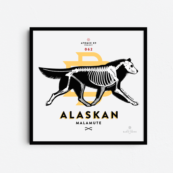 Alaskan Malamute Bone Print - Digital File Only