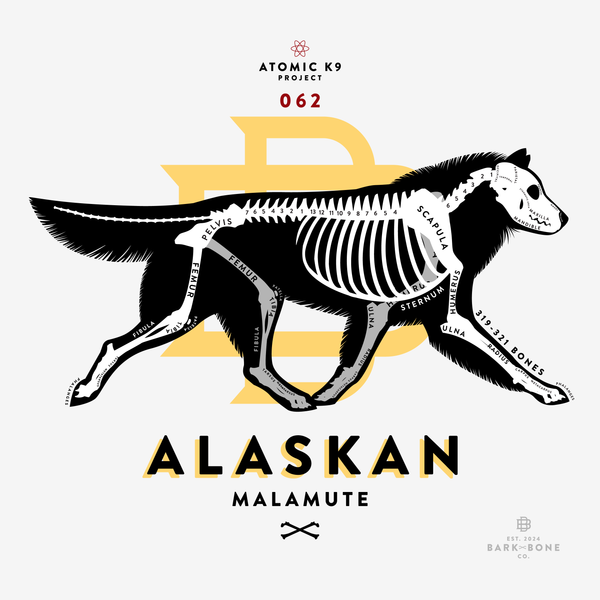 Alaskan Malamute Bone Print - Digital File Only