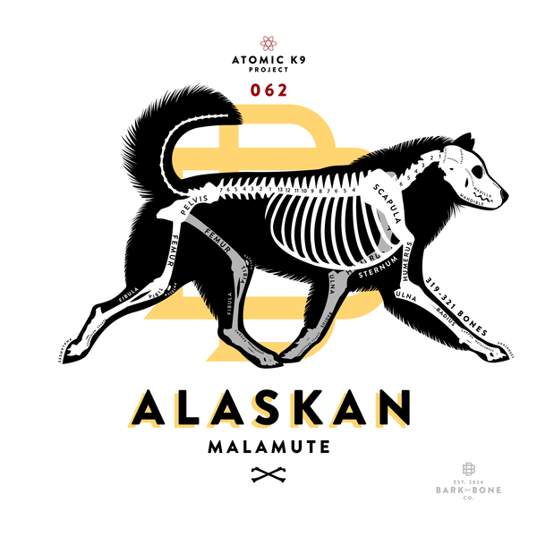 Alaskan Malamute Bone Print- 12" x 12"