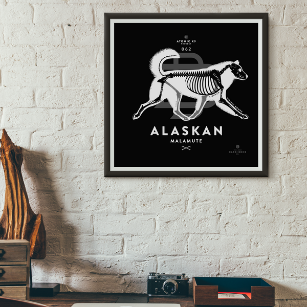 Alaskan Malamute Bone Print- 12" x 12"