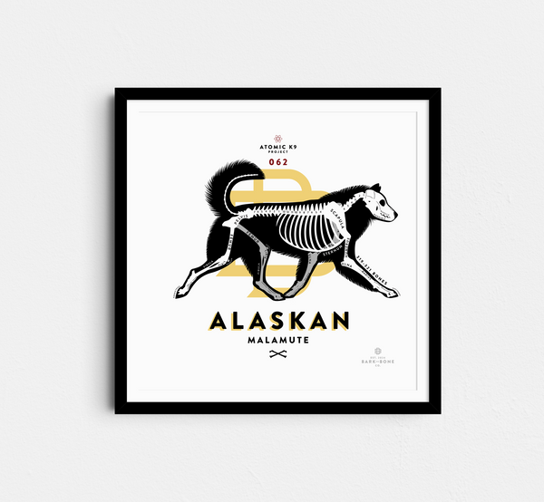 Alaskan Malamute Bone Print- 12" x 12"