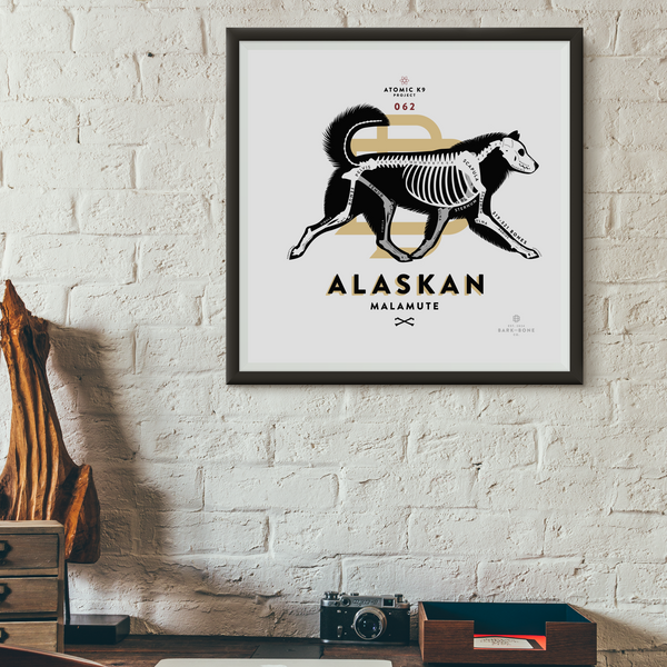 Alaskan Malamute Bone Print- 12" x 12"