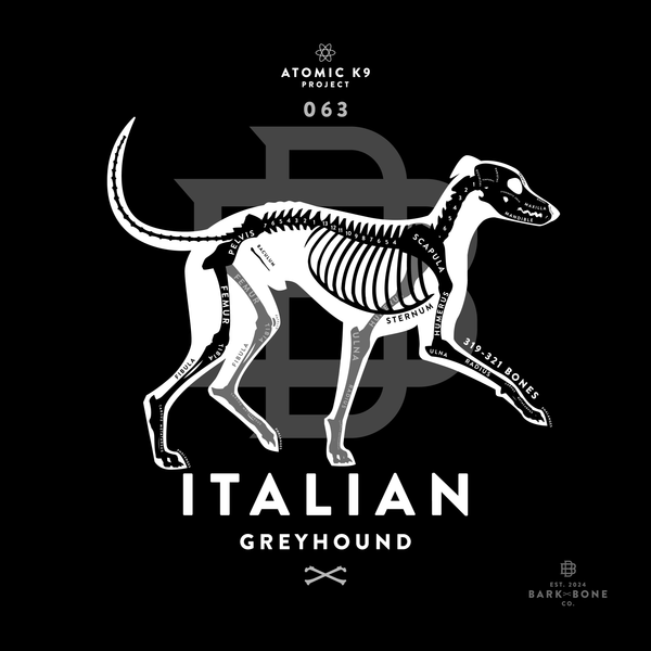 Italian Greyhound Bone Print- 12" x 12"