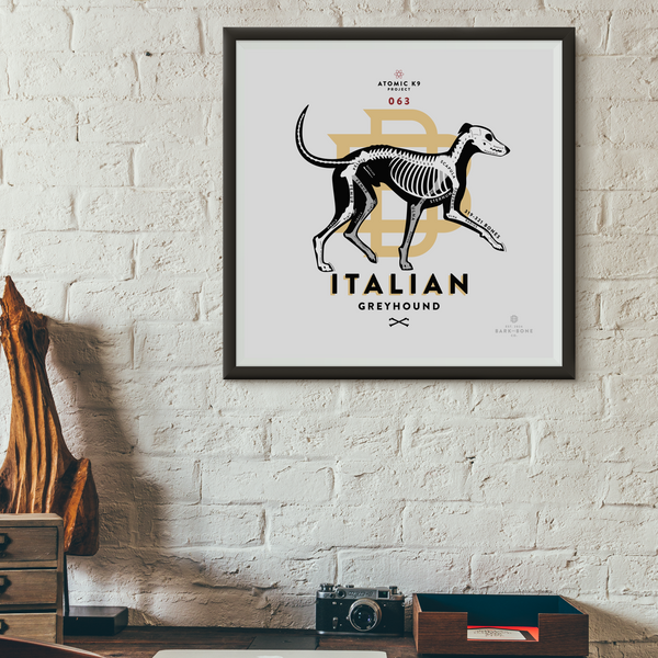 Italian Greyhound Bone Print- 12" x 12"