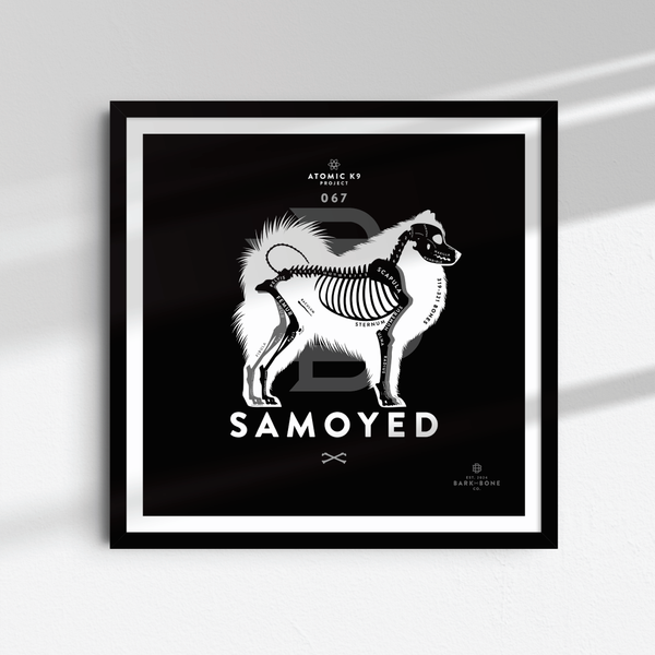 Samoyed Bone Print- 12" x 12"