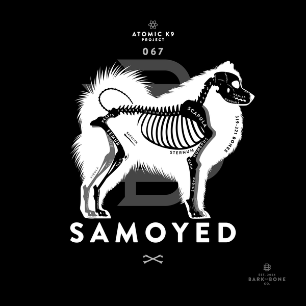 Samoyed Bone Print- 12" x 12"