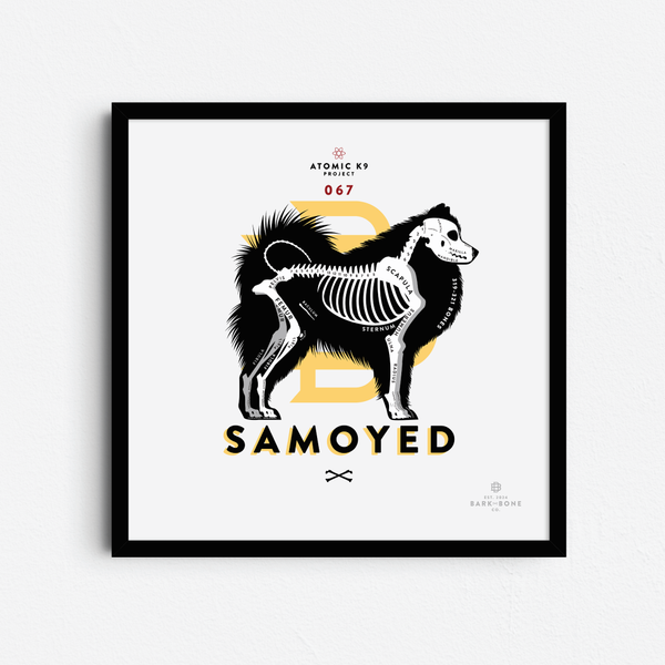 Samoyed Bone Print- 12" x 12"