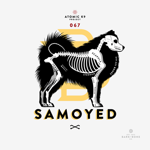Samoyed Bone Print- 12" x 12"
