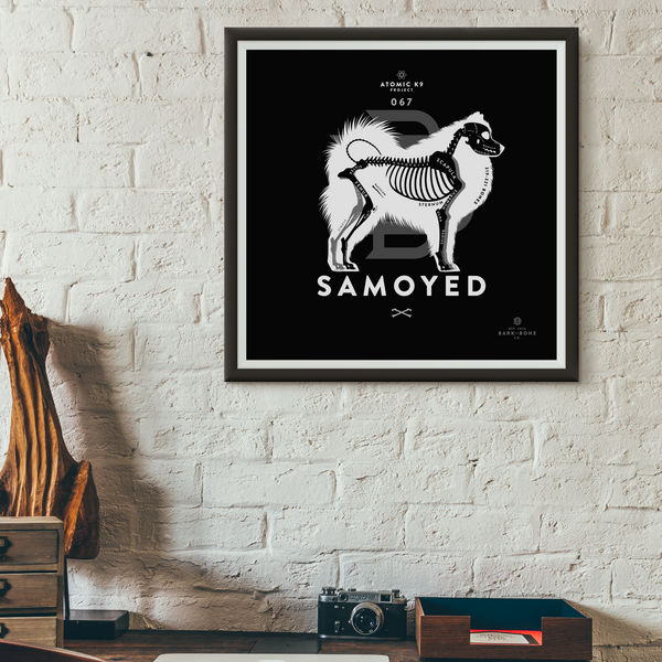 Samoyed Bone Print- 12" x 12"