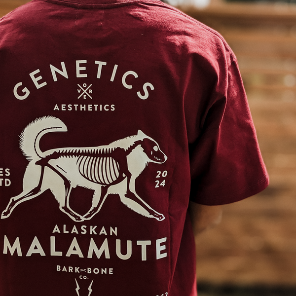 Custom Bloodline Bone Tee  - Add-On for Commissions