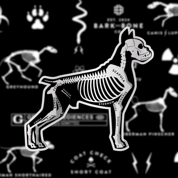Boxer Skin & Bones Vinyl Sticker (3 pack)