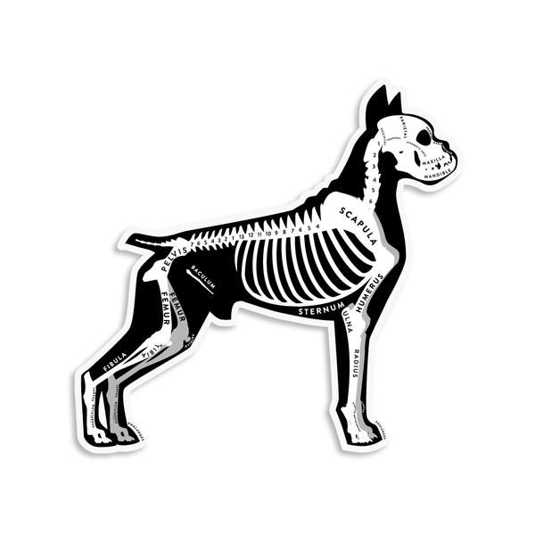 Boxer Skin & Bones Vinyl Sticker (3 pack)