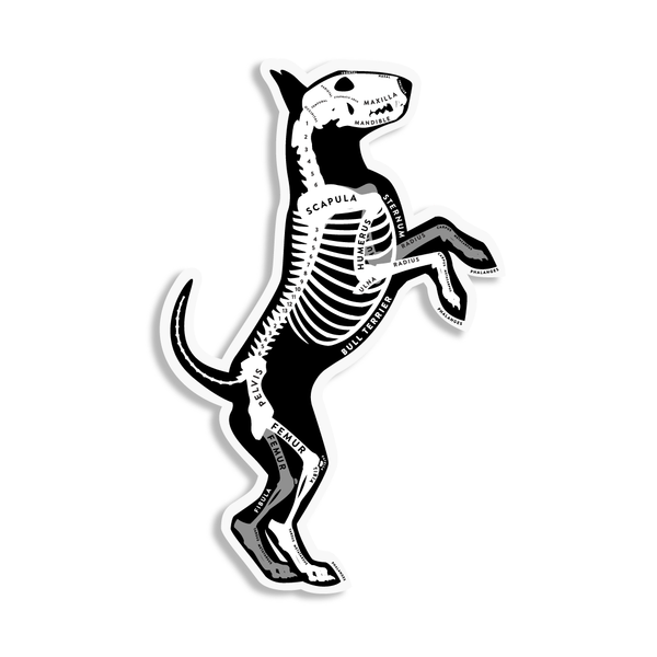 Bull Terrier Skin & Bones Vinyl Sticker (3 pack)