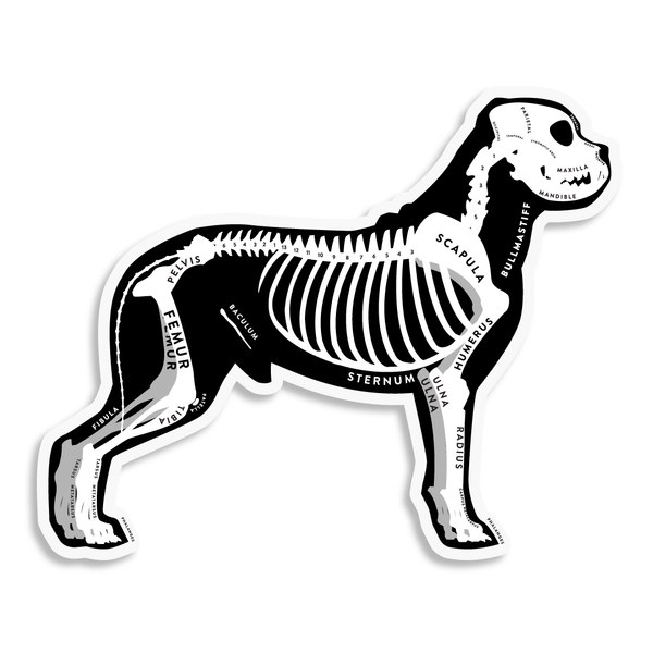 Bullmastiff Skin & Bones Vinyl Sticker (3 pack)