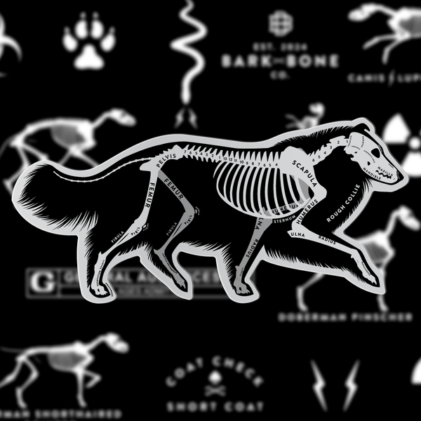 Collie Skin & Bones Vinyl Sticker (3 pack)