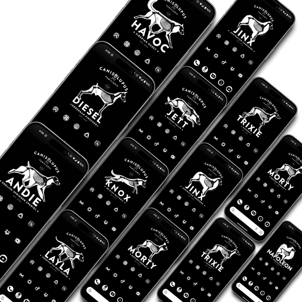 The DIGITAL VAULT Pack