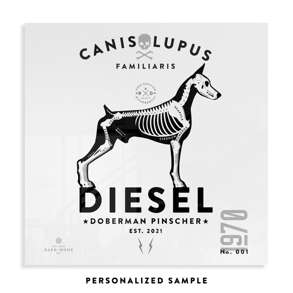 Doberman Pinscher xR&D Acrylic Panel